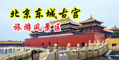 大机巴操美女中国北京-东城古宫旅游风景区